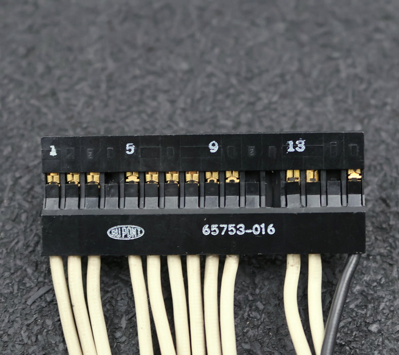 Bild des Artikels DUPONT-BERG-ELECTRONICS-BUS-Verbindung-IN-174/130-65753-016-Länge=-170mm