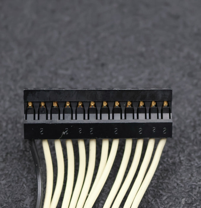 Bild des Artikels DUPONT-BERG-ELECTRONICS-BUS-Verbindung-IN-174/130-65753-016-Länge=-170mm