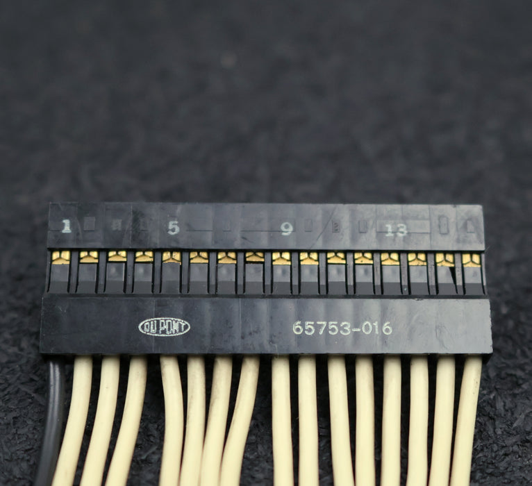 Bild des Artikels DUPONT-BERG-ELECTRONICS-BUS-Verbindung-65753-016-Länge=-155mm-16-polig