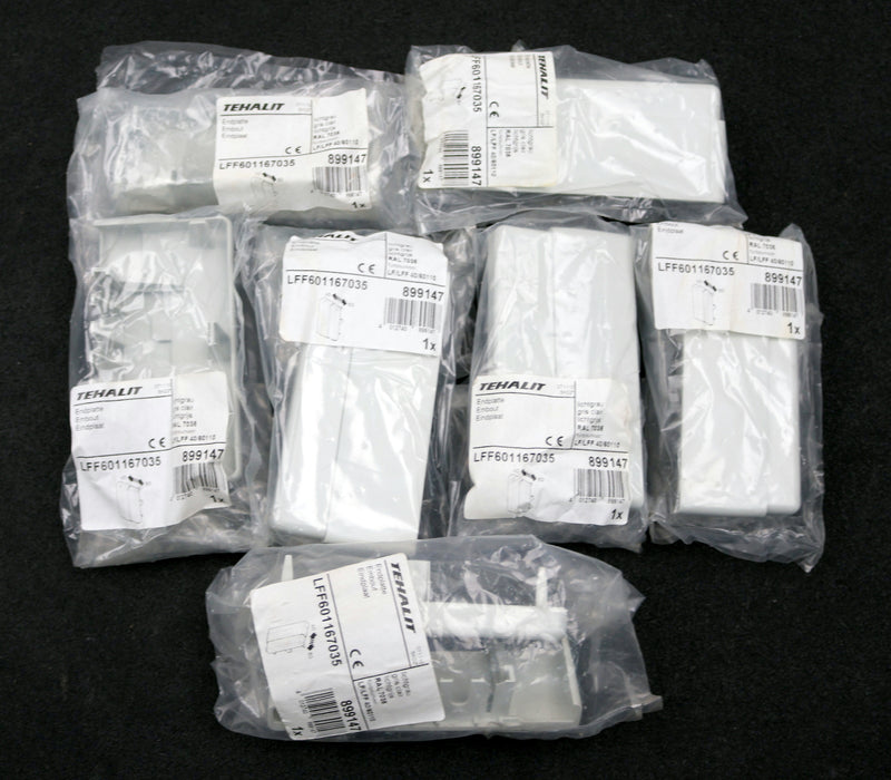 Bild des Artikels TEHALIT-7x-Endplatte-LFF601167035-Farbe-Lichtgrau-unbenutzt-in-OVP