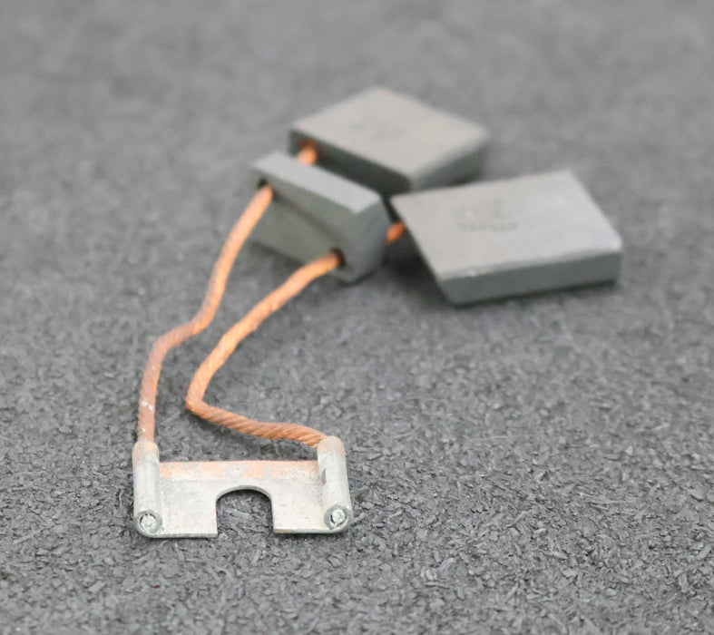 Bild des Artikels Kohlebürste-Montierte-Zwillingskohlebürste-mit-zwei-Litzen-EKL-E5-12,4x20x32mm