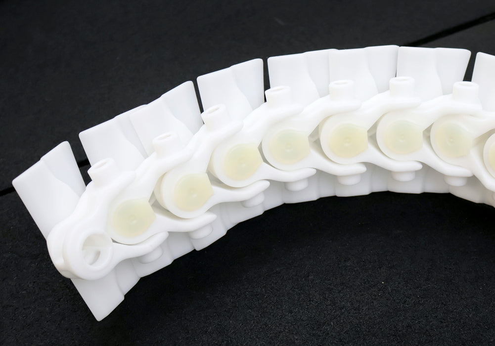 Bild des Artikels FLEXLINK-5m-Transportkette-XKTP5A-Länge-5m-Maß-eines-Gliedes-102x60x40mm