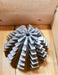 Bild des Artikels KLINGELNBERG-Palloid-Wälzfräser-m=-6,0-20°-EGW-Zahnform-I-1-gg.-Re.-Rest-75%