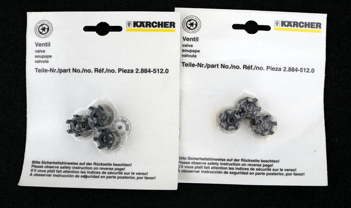 Bild des Artikels KÄRCHER-Pumpenset-für-HD-895-S-Art.Nr.:-2.883-816.0-unbenutzt-in-OVP