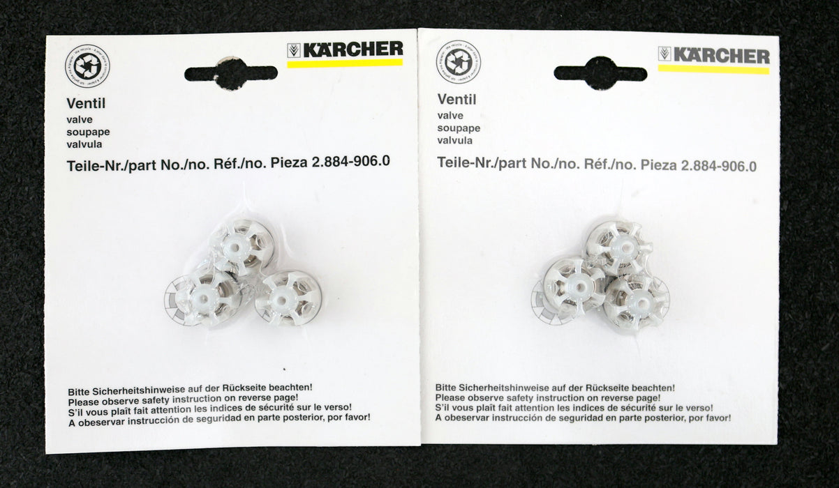 Bild des Artikels KÄRCHER-Pumpenset-für-HD-1090-Art.Nr.:-2.883-447.0-unbenutzt-in-OVP