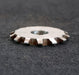 Bild des Artikels LEIMBACH-Zahnstangen-Formfräser-rack-milling-cutter-m=-2,5mm-20°-EGW-Ø76x8xØ22mm