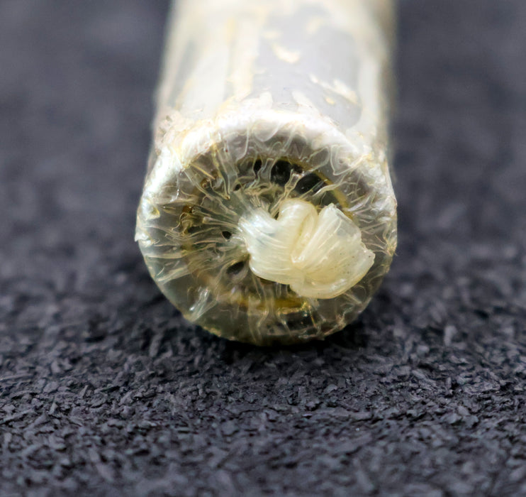 Bild des Artikels INA-5x-Linear-Kugellager-KH12-PP-AußenØ-19mm-InnenØ-12mm-Breite-28mm-unbenutzt