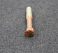 Bild des Artikels LORENZ-Schaftschneidrad-gear-shaper-m=-1,5mm-20°-EGW-Z=-7-Aufnahme-MK1