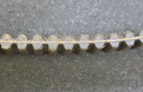 CONTITECH Zahnriemen Timing belt Doppelverzahnt 8M Länge 1280mm Breite 30mm