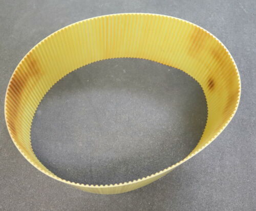 MEGADYNE Zahnriemen Timing belt T 5 verschweißt Länge 780mm Breite 115mm