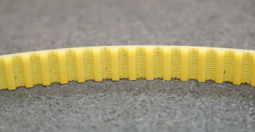 MEGADYNE 2x Zahnriemen Timing belt T 5 verschweißt Länge 700mm Breite 10mm
