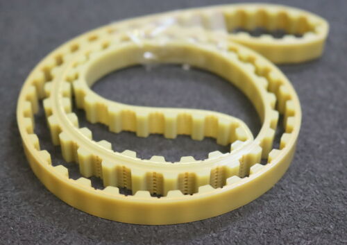 MEGADYNE 2x Zahnriemen Timing belt T 10 verschweißt Länge 1010mm Breite 10mm