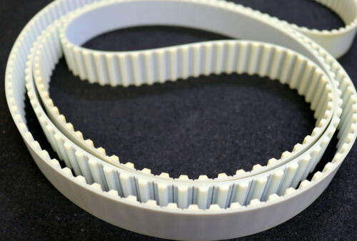 Zahnriemen Timing belt T 10 verschweißt Länge 3100mm Breite 30mm - unbenutzt
