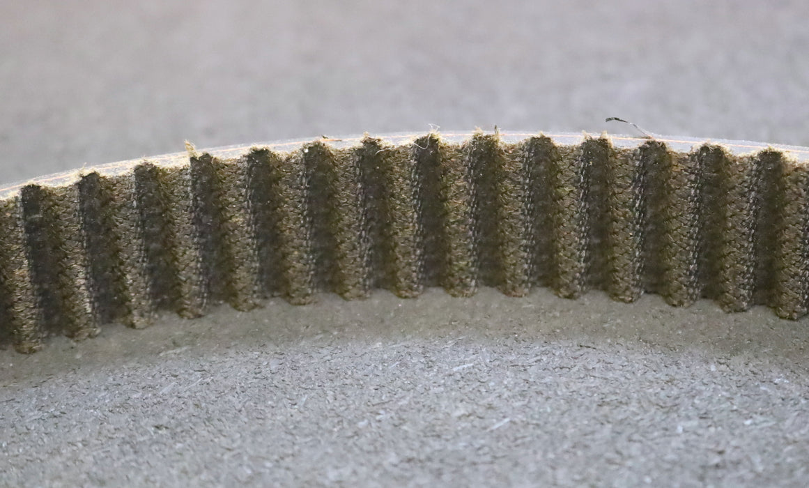 CONTITECH Zahnriemen Timing belt STD 1000 S8M CXP Länge 1000mm Breite 24,5mm