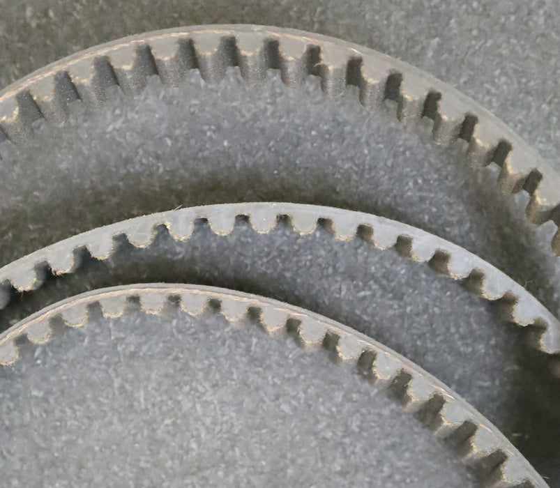 CONTITECH Zahnriemen Timing belt 8M Länge 1600mm Breite 22mm - unbenutzt