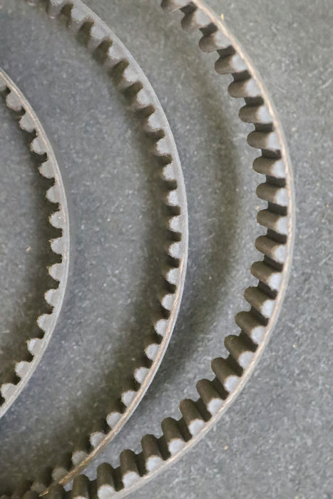CONTITECH Zahnriemen Timing belt 8M Länge 1600mm Breite 25,6mm - unbenutzt