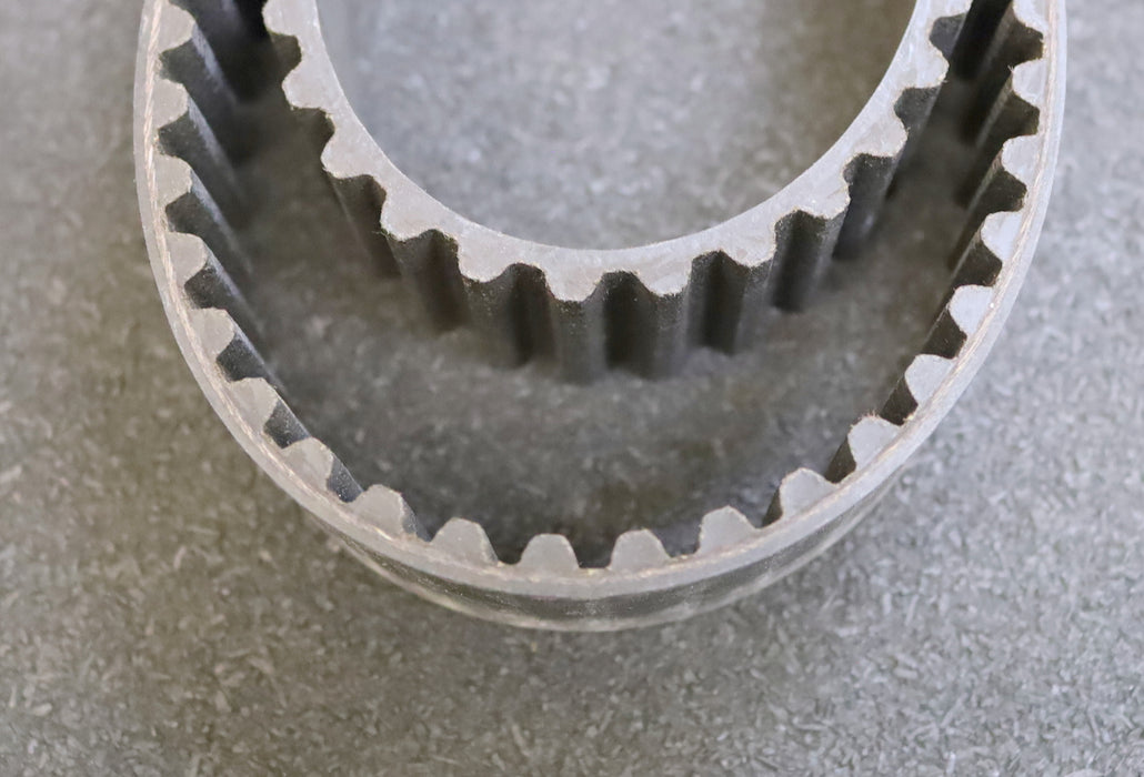 CONTITECH Zahnriemen Timing belt 8M Länge 1264mm Breite 30mm unbenutzt