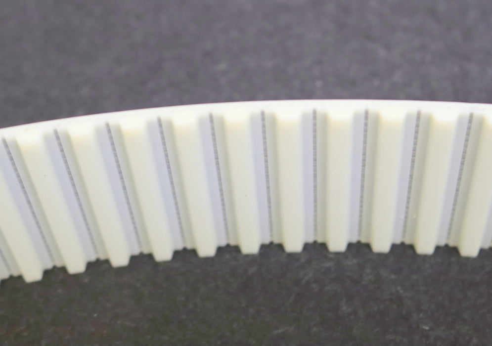 Zahnriemen Timing belt T 10 verschweißt Länge 2340mm Breite 50mm unbenutzt
