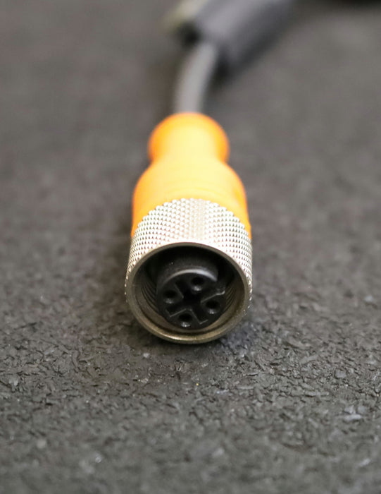 LUMBERG AUTOMATION 2x Verbindungsleitung RST 4-RK4-225/0,3 4-polig M12-Stecker