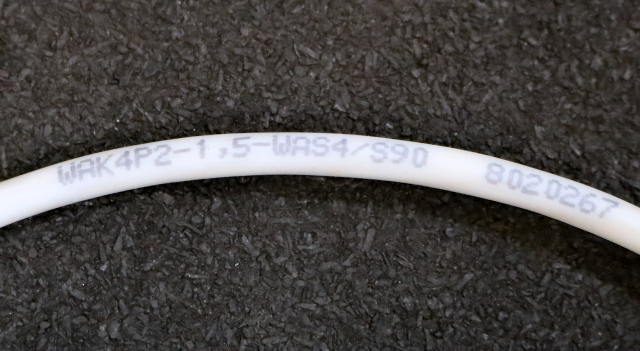 ESCHA 2x Verbindungsleitung WAK4P2-1,5-WAS4/S90 Art.Nr. 8020267 4-polig