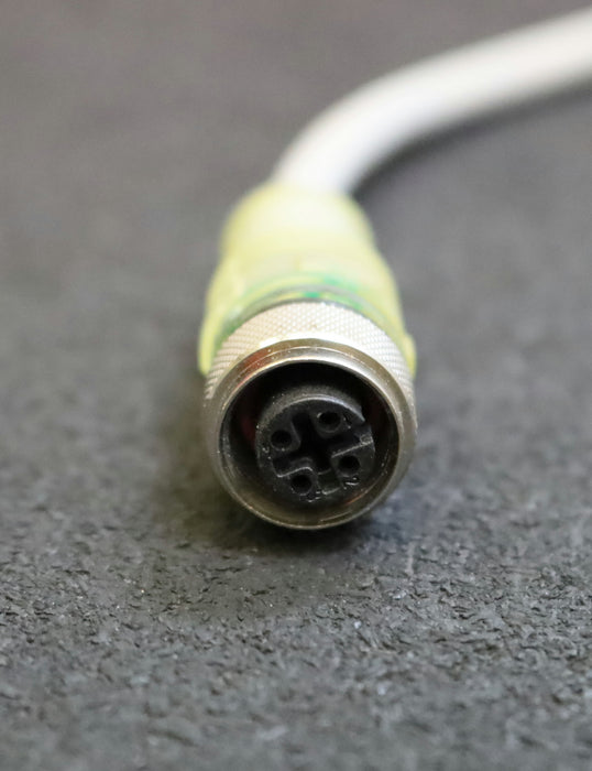 ESCHA 2x Verbindungsleitung WAK4P2-1,5-WAS4/S90 Art.Nr. 8020267 4-polig