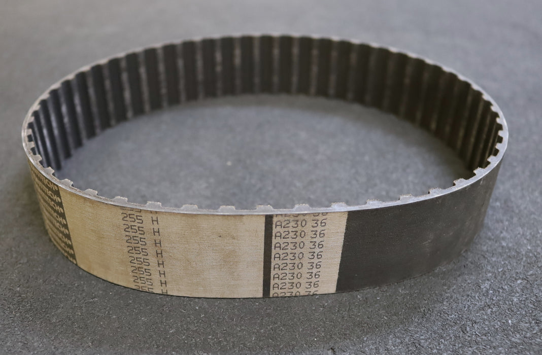 Bild des Artikels CONTITECH-Zahnriemen-Timing-belt-255H-Breite-40mm-Länge-647,7mm-unbenutzt