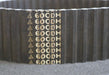 Bild des Artikels Zahnriemen-Timing-belt-doppelverzahnt-600-DH-Breite-62,5mm-Länge-1524mm