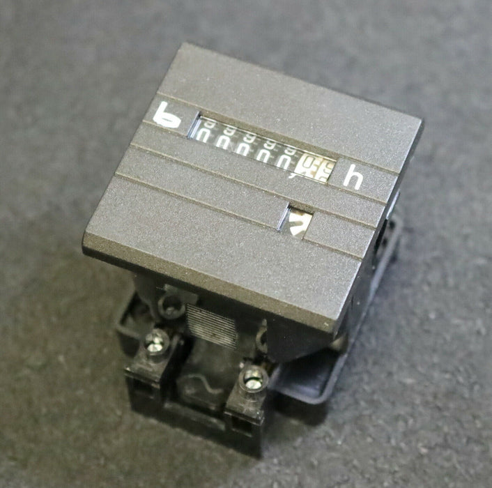 THEBEN Betriebsstundenzähler 7-stellig Nr. 621-07-3 Schwarz 48x48mm Tiefe 43mm