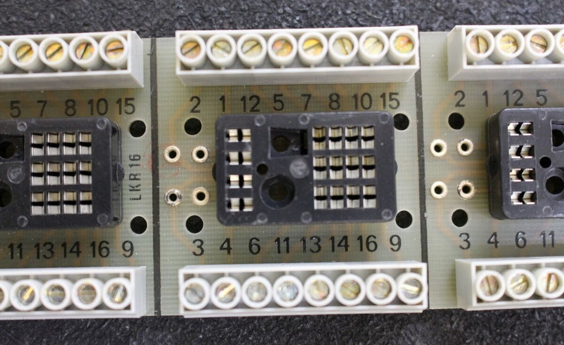 BÜRKLIN Fassungsleiste für Kammrelais, RV 16/6 EP - Best.-Nr.:30 G 800