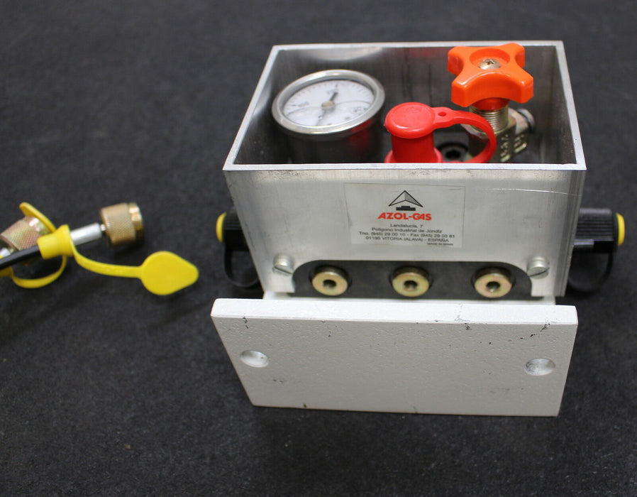 AZOL GAS PC100R 0-300bar 000513 0T.544.01/02M-555 31-10-03