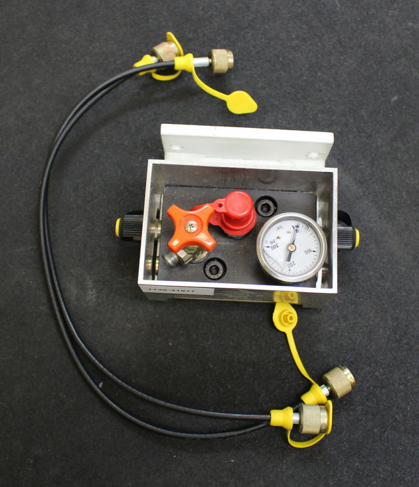 AZOL GAS PC100R 0-300bar 000513 0T.544.01/02M-555 31-10-03