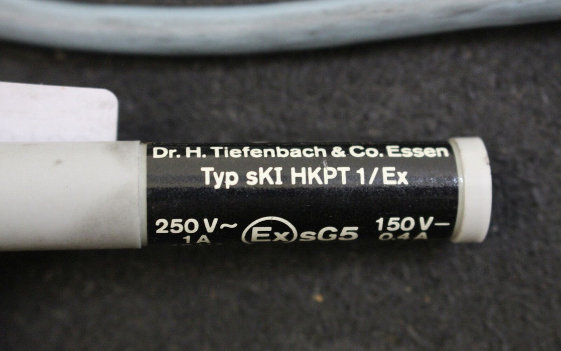 DR. TIEFENBACH Schaltpunkt Typ sKI HKPT 1/Ex – 250VAC/1A/45VA – 150VDC/0,4A/30W