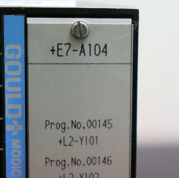 GOULD MODICON Output module B224 24VDC +E7-A104 develloped for MAAG program