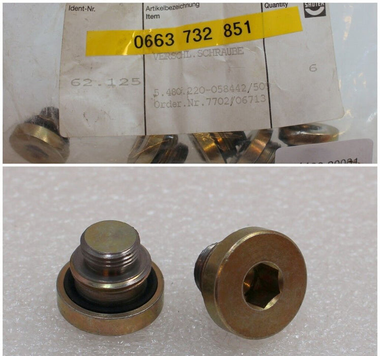 SAUTER Verschlussschraube 2.4