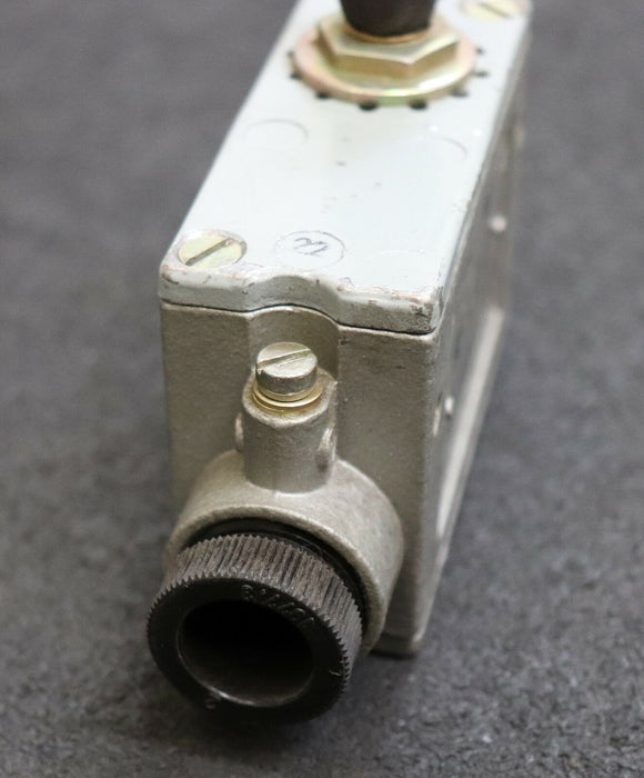 ROBOTRON Gußgekapselter Mikrotaster AF1.E1/1 500VAC 10A IP54