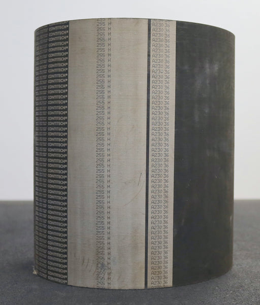 Bild des Artikels CONTITECH-Zahnriemen-255H-Breite-262mm-Länge-647,7mm---zum-zuschneiden
