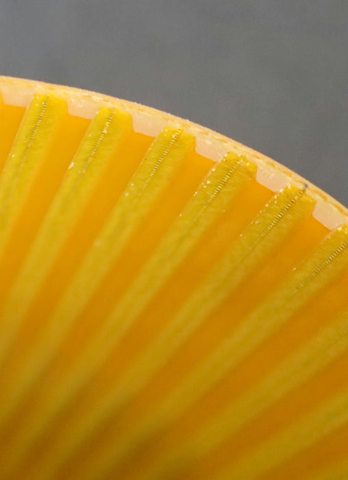 Bild des Artikels OPTIBELT-380mm-breiter-Zahnriemen-T10-Breite-380mm-Länge-450mm---zum-zuschneiden