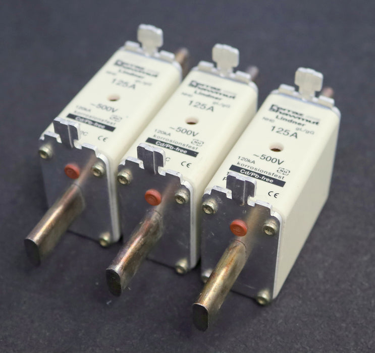 Bild des Artikels FERRAZ-SCHAWMUT-3x-NH-Sicherungseinsatz-125A-P222499C-NH0-500VAC-gL/gG