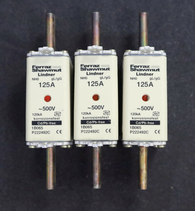 Bild des Artikels FERRAZ-SCHAWMUT-3x-NH-Sicherungseinsatz-125A-P222499C-NH0-500VAC-gL/gG