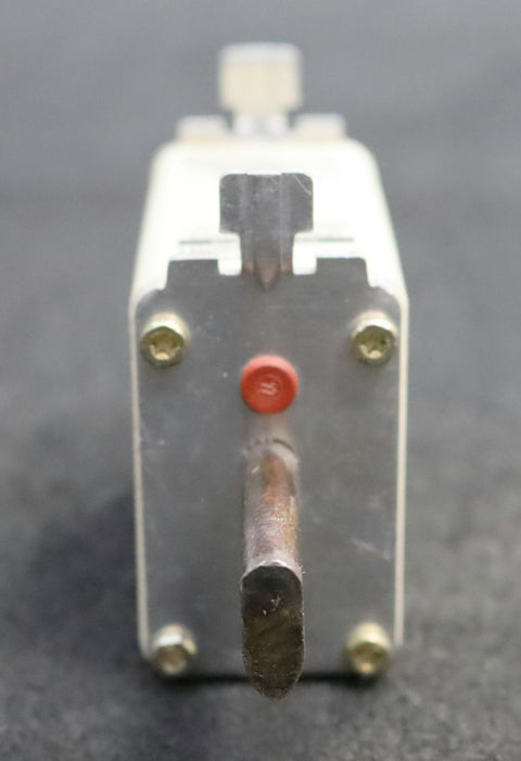 Bild des Artikels FERRAZ-SCHAWMUT-3x-NH-Sicherungseinsatz-125A-P222499C-NH0-500VAC-gL/gG