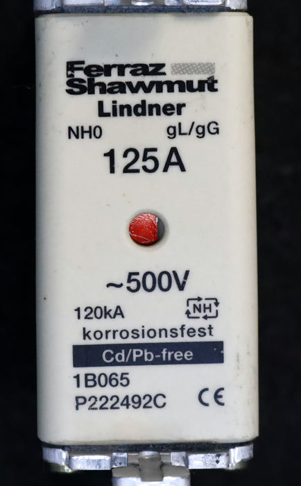 Bild des Artikels FERRAZ-SCHAWMUT-3x-NH-Sicherungseinsatz-125A-P222499C-NH0-500VAC-gL/gG