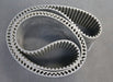 Bild des Artikels GATES-Zahnriemen-Timing-belt-14MR-Breite-126mm-Länge-3360mm-für-Zuschnitt
