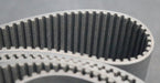 Bild des Artikels MEGADYNE-Zahnriemen-Timing-belt-RPP5-Breite-147mm-Länge-2525mm-für-Zuschnitt