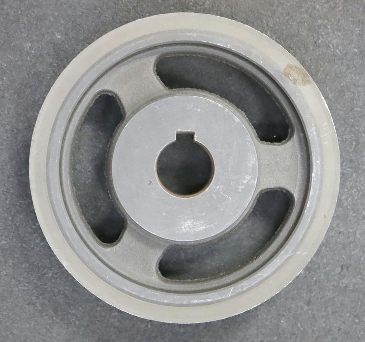 Bild des Artikels Stahl-Zahnscheibe-mit-beidseitiger-Bordscheibe-40-H-100-Profil:-H-40-Zähne-