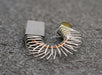 Bild des Artikels 6x-Kleinkohlebürste-KK316-10x5x20mm-(t-x-a-x-r)-mit-Kabel,-Feder-und-V-Bügel