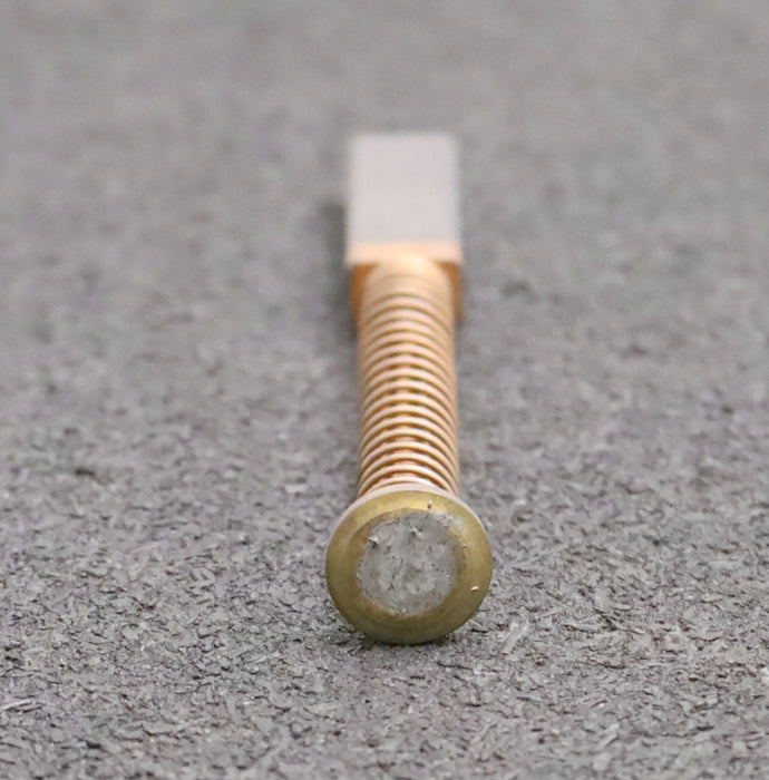 Bild des Artikels PROGRESS-4x-Kleinkohlebürste-33-9x6x31mm-(t-x-a-x-r)-mit-Kabel,-Feder-und-Teller