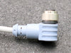 Bild des Artikels ESCHA-Sensor-/Aktor-Kabel-Lif9YH-11YH-8004456-300V-80C-4x0,34-Kabellänge-4m