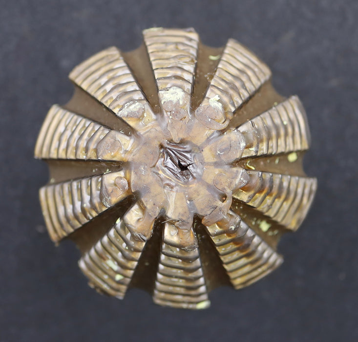 Bild des Artikels KLINGELNBERG-Palloid-Wälzfräser-m=-3-EGW-20°-Zahnform-I-1gg.-Links-Rest-100%