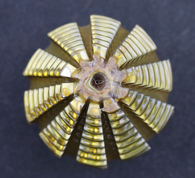 Bild des Artikels KLINGELNBERG-Palloid-Wälzfräser-m=-3,5-EGW-20°-Zahnform-I-1gg.-Rechts-Rest-100%