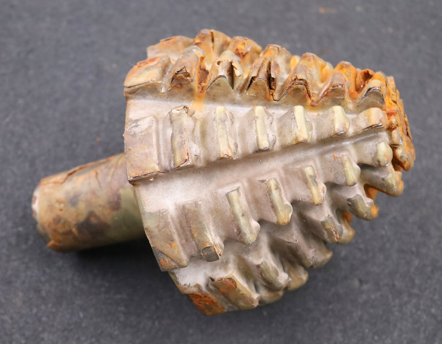 Bild des Artikels KLINGELNBERG-Palloid-Wälzfräser-m=-5,5-22°30'-EGW-Zahnform-II-1gg.-Li-Rest-100%